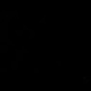 Meet your Posher, Karlee